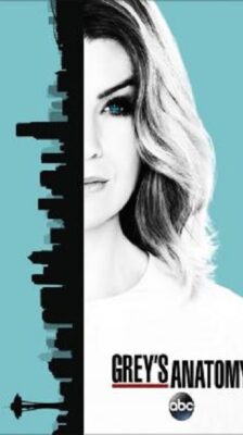 Grey’s Anatomy Season 13 (2016) ซับไทย Ep1-24 จบ