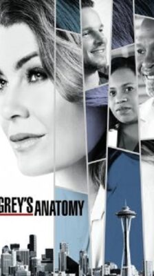 Grey’s Anatomy Season 14 (2017) ซับไทย Ep1-24 จบ