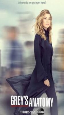 Grey’s Anatomy Season 16 (2019) ซับไทย Ep1-21 จบ